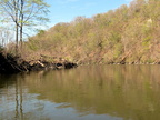 IMG 4531